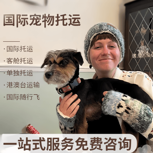 顺义区国际宠物托运到阿根廷宠物入境规定和要