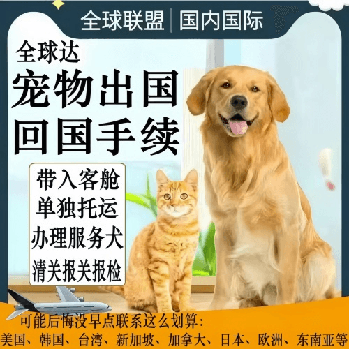 顺义区宠物托运到柬埔寨宠物入境规定和要求