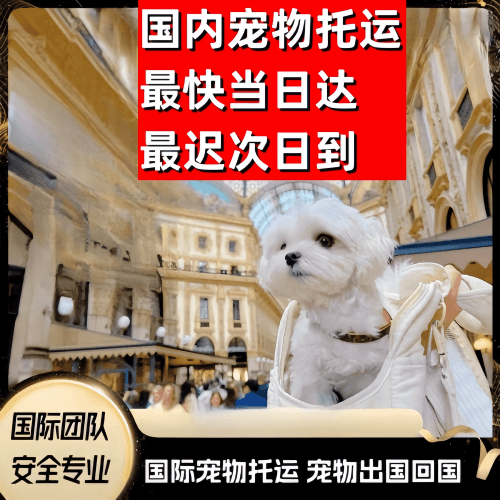 顺义区到澳大利亚（澳洲）宠物入境规定和要求