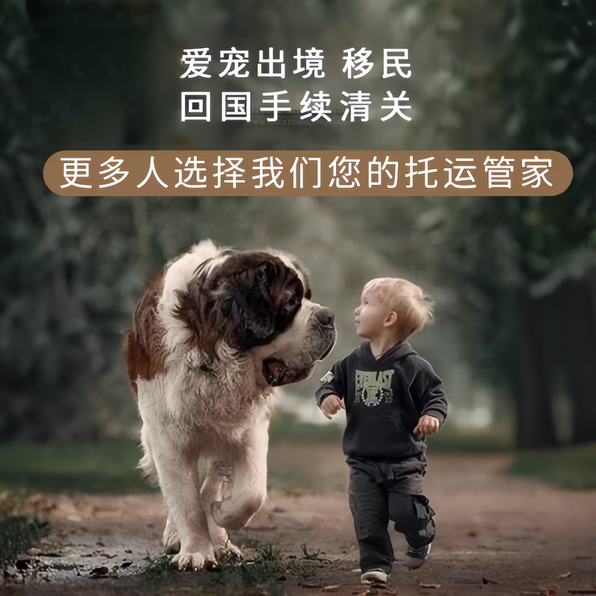 满财顺义区宠物全球达宠物托运在遵守入境目的地政策的条件