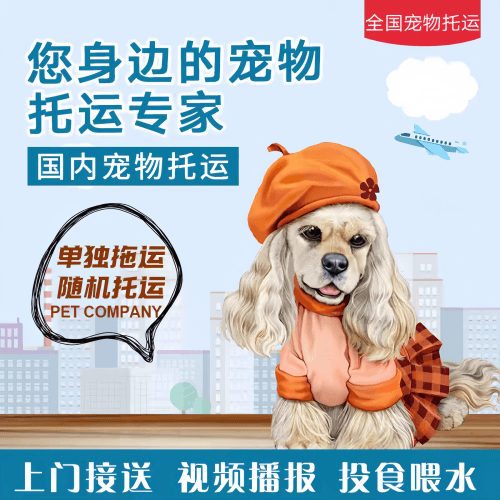 满财顺义区宠物全球达宠物托运作为专业的宠物运输代理机构